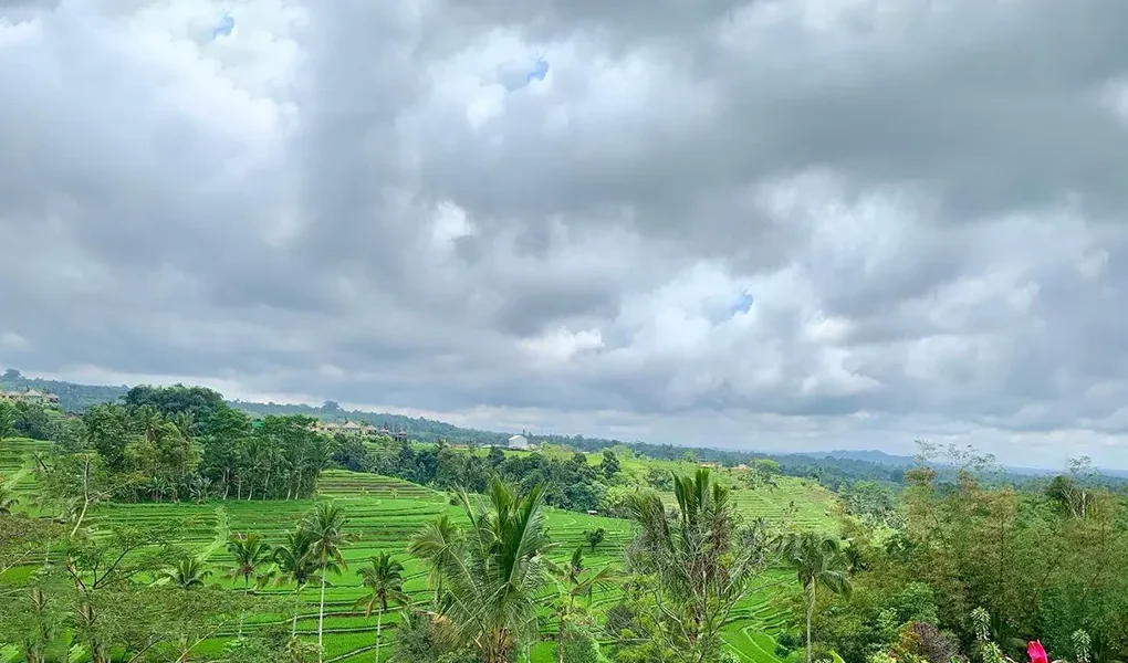 jatiluwih rice terraces