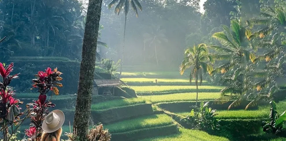 tegalalang rice terraces