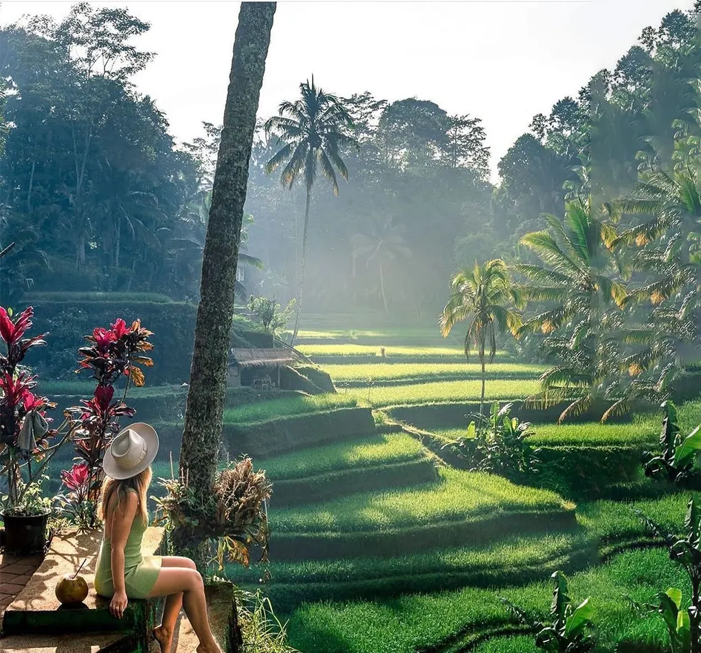 tegalalang rice terraces