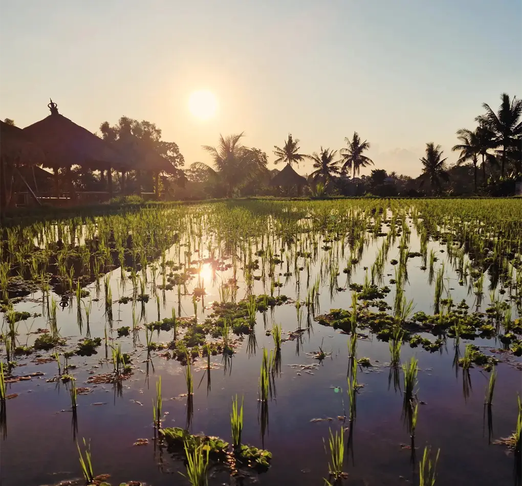 ubud trekking tour