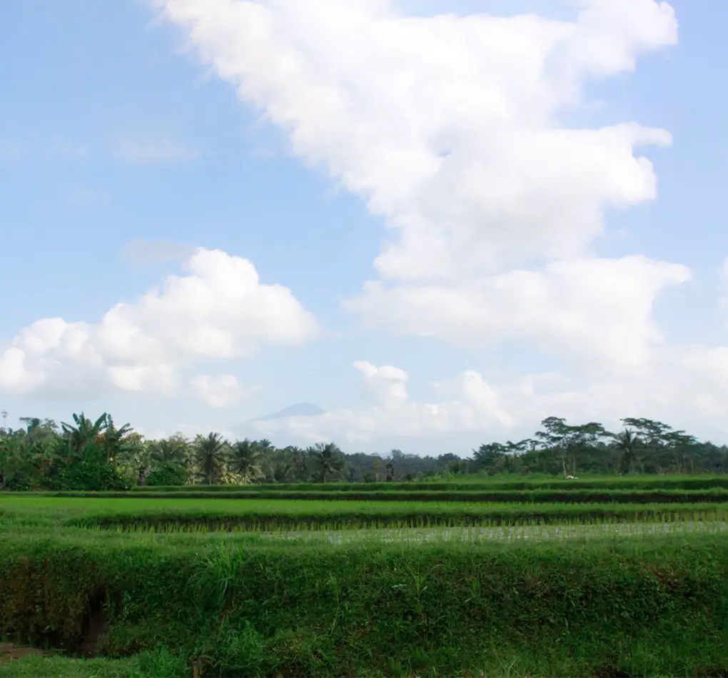 ubud trekking tour